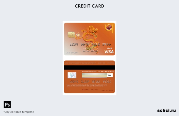 цифровая загрузка шаблона банковской карты Visa Бутан Druk PNB
